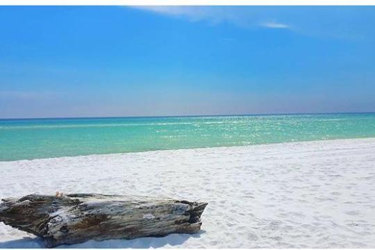 View of white sand and bright green waters in Florida
